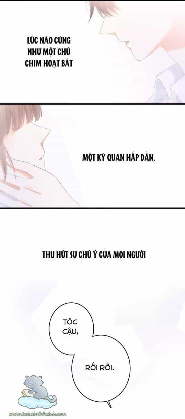 Con Tim Rung Động - Chương 53 - ảnh 29