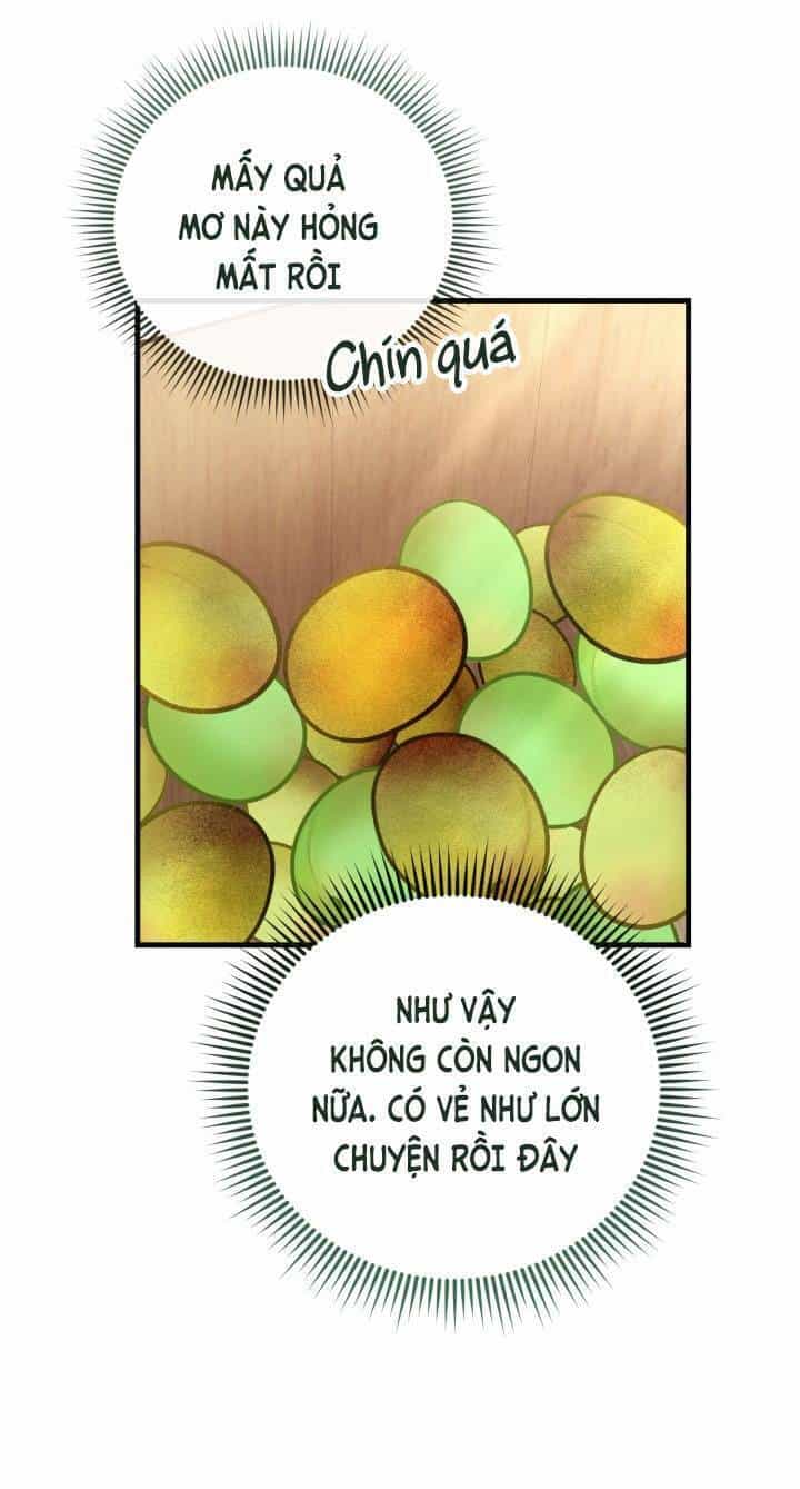 Công Chúa Dược Sĩ Bé Con - Chương 11 - ảnh 9