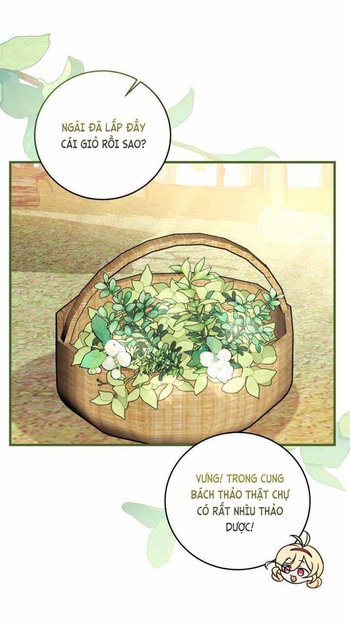 Công Chúa Dược Sĩ Bé Con - Chương 17 - ảnh 35