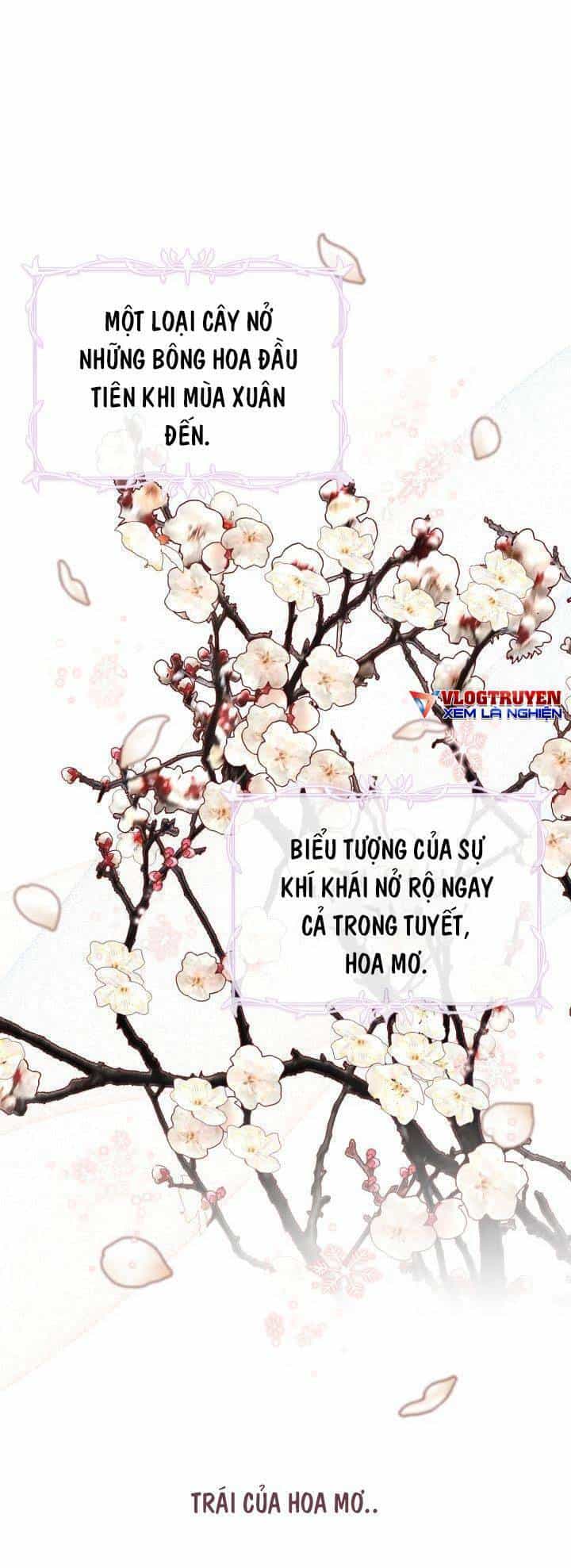 Công Chúa Dược Sĩ Bé Con - Chương 7 - ảnh 29