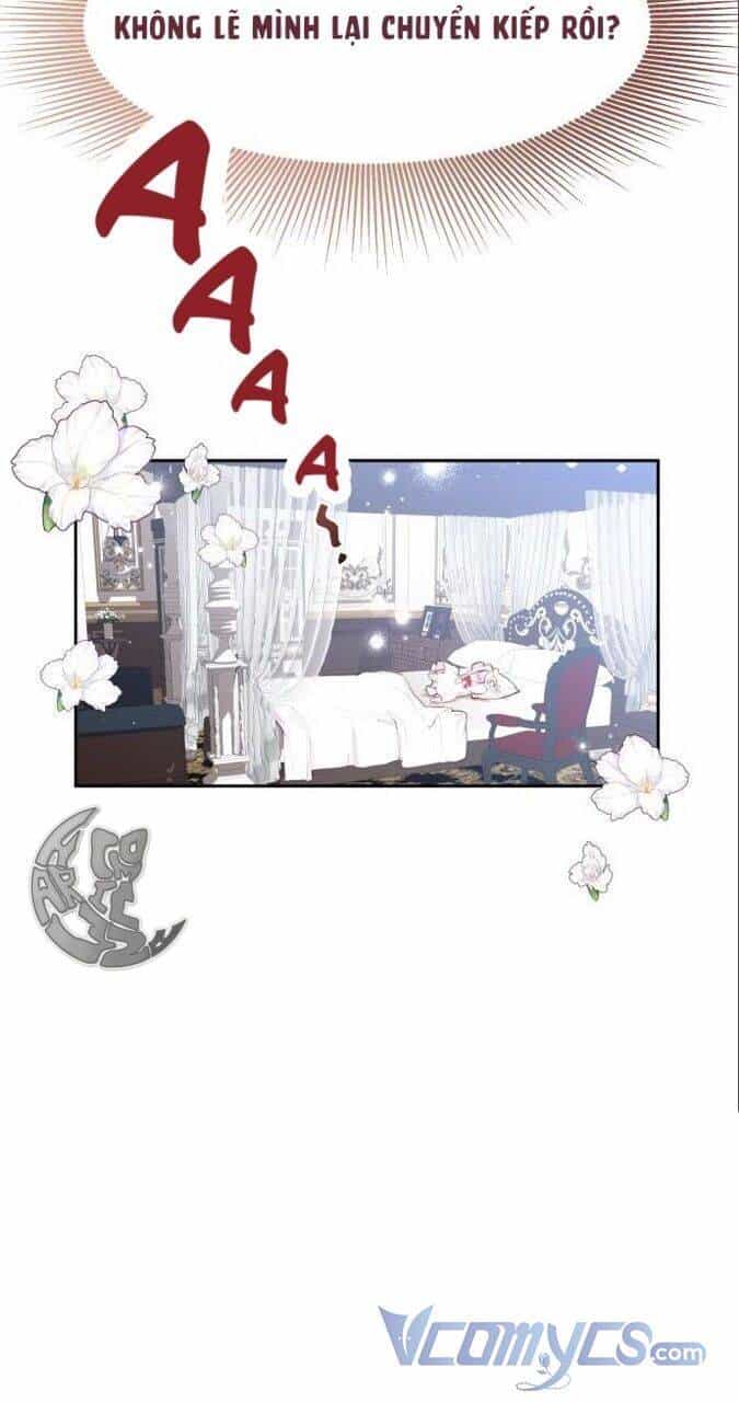 Công Chúa Lotto - Chương 15 - ảnh 66