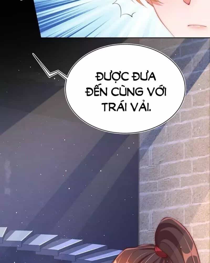 Công Chúa Tại Thượng: Quốc Sư Mời Xuống Kiệu - Chương 33 - ảnh 49