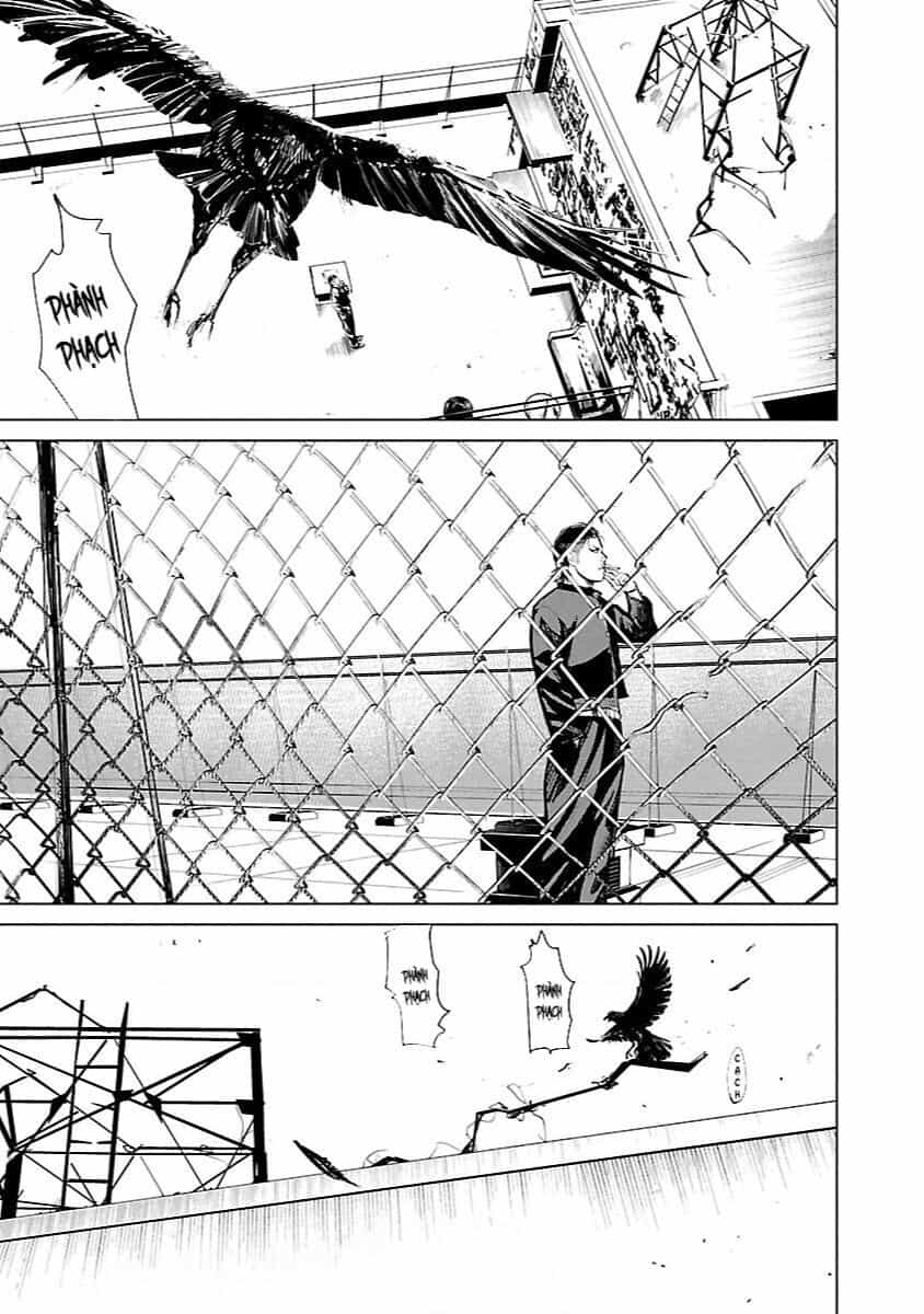 Crows Zero Tái Khởi Động - Chuong 1 - ảnh 6