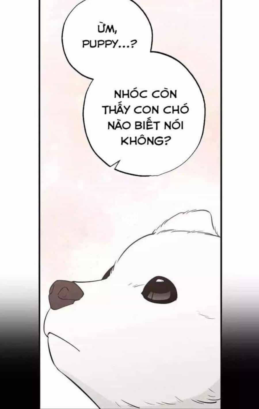 Cửa Hàng Diệu Kỳ - Chương 14 - ảnh 58