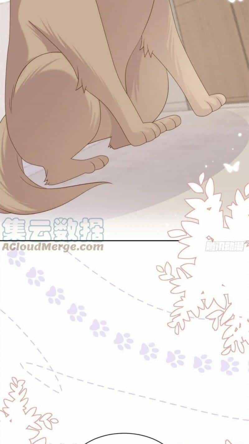 Cưng Chiều Đại Lão 3 Tuổi Rưỡi - Chương 182 - ảnh 22