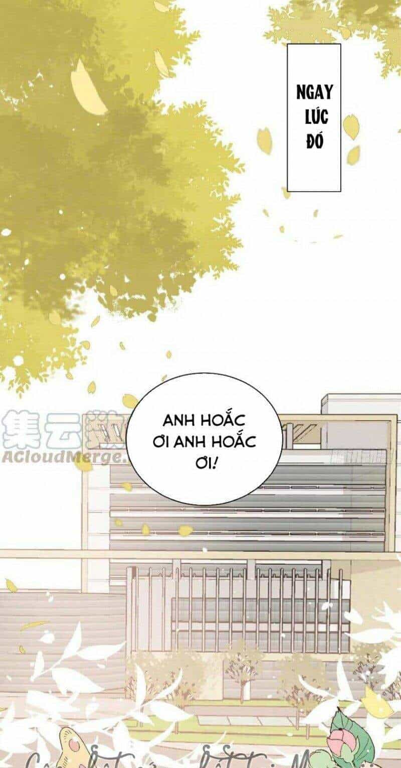 Cưng Chiều Đại Lão 3 Tuổi Rưỡi - Chương 65 - ảnh 13