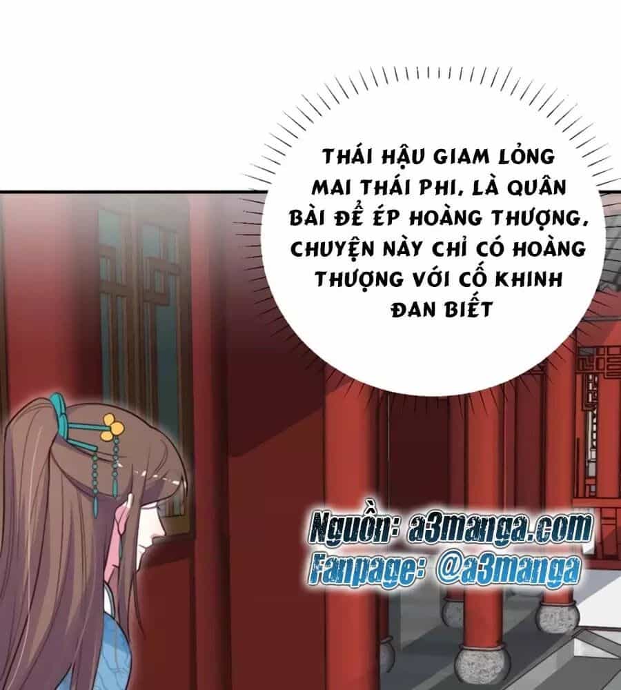 Cung Đấu Live - Chương 35 - ảnh 1