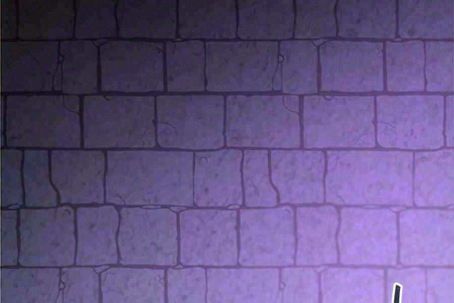 Cuốn Sách Của Lagier - Chương 31 - ảnh 2