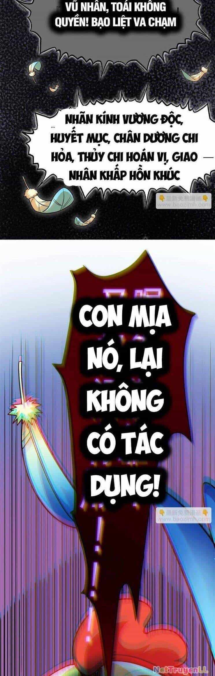 Cường Giả Đến Từ Trại Tâm Thần - Chương 272 - ảnh 5
