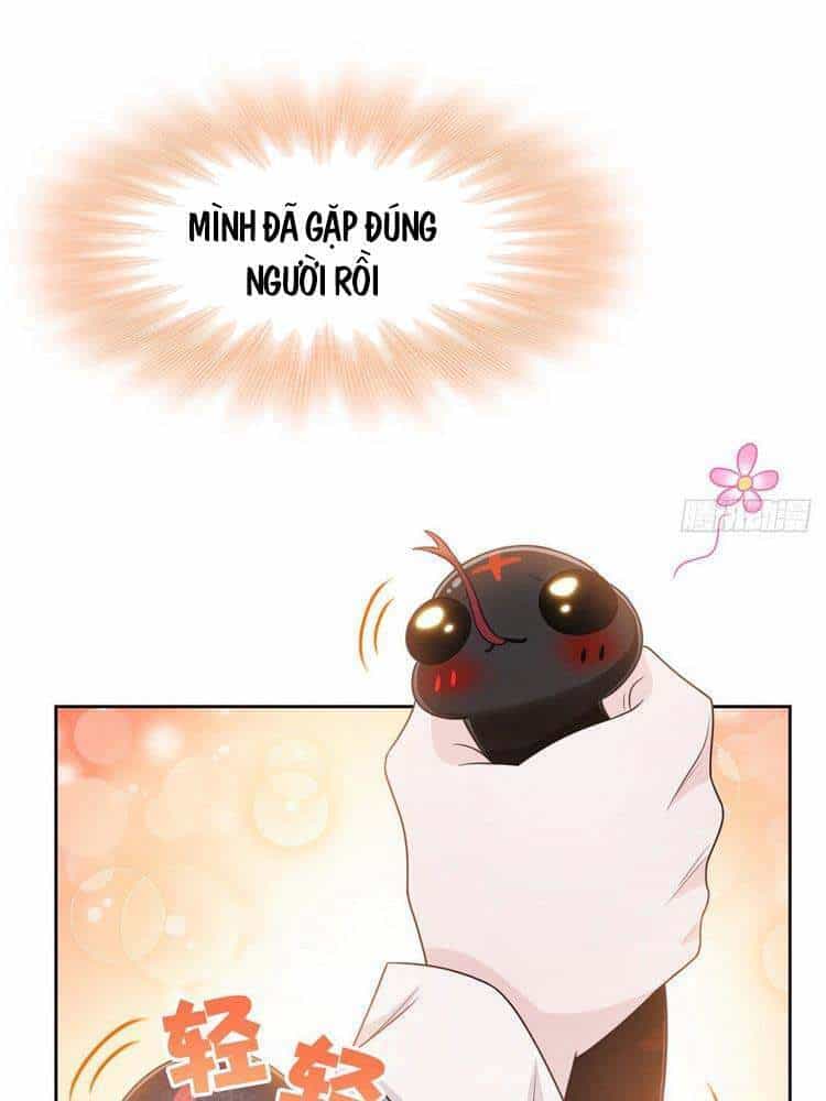 Cường Giả Đến Từ Trại Tâm Thần - Chương 32 - ảnh 35
