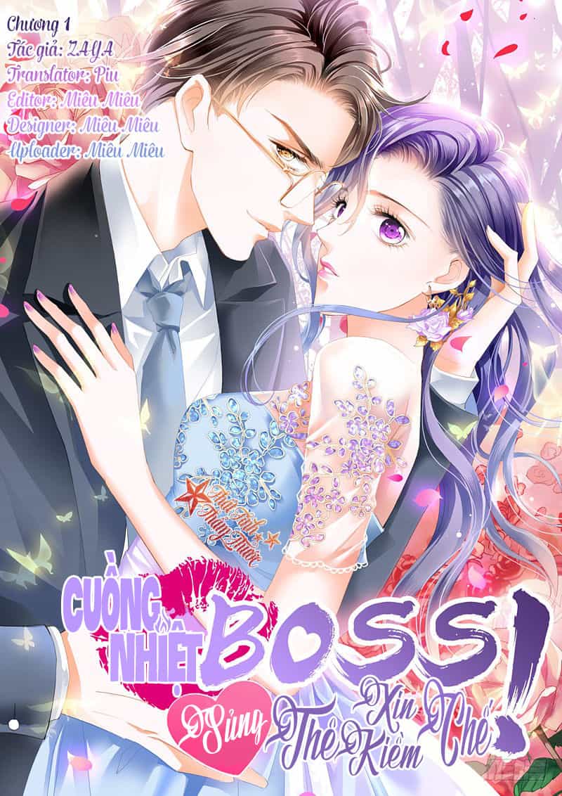 Cuồng Nhiệt Boss, Sủng Thê Xin Kiềm Chế - Chương 1 - ảnh 2