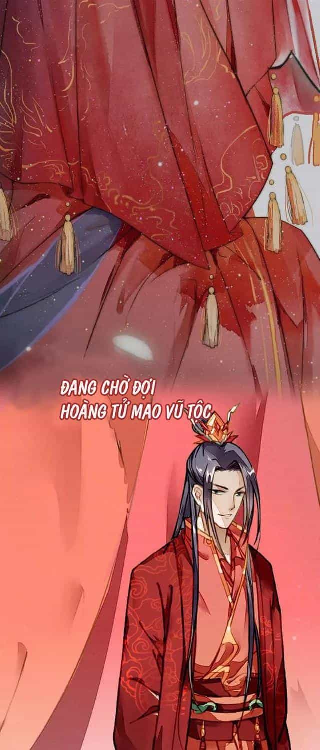 Cửu Châu Thiên Khống Thành Chi Phượng Hoàng Trận - Chương 1 - ảnh 5