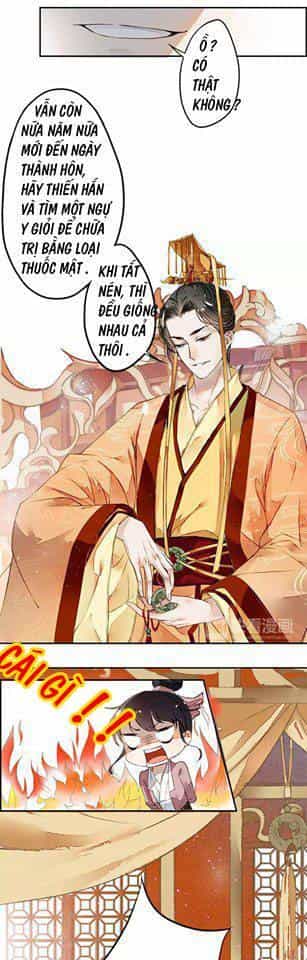 Cửu Châu Thiên Khống Thành Chi Phượng Hoàng Trận - Chương 3 - ảnh 18