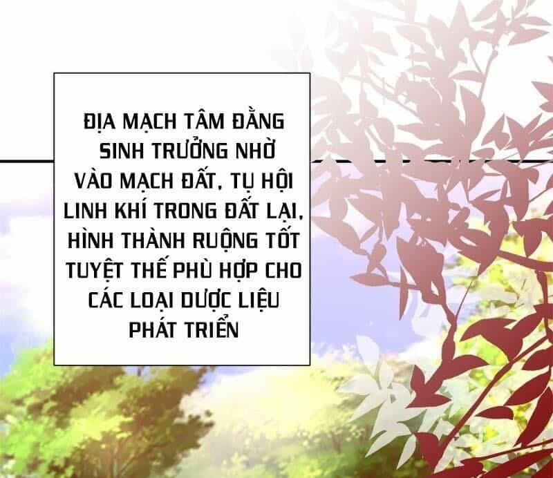 Cửu Dương Đế Tôn - Chương 174 - ảnh 1