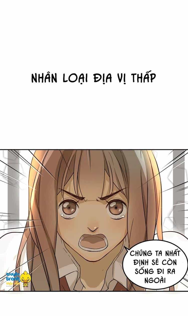 Cứu Mạng! Loài Mèo Thống Trị Thế Giới Rồi! - Chương 1 - ảnh 4