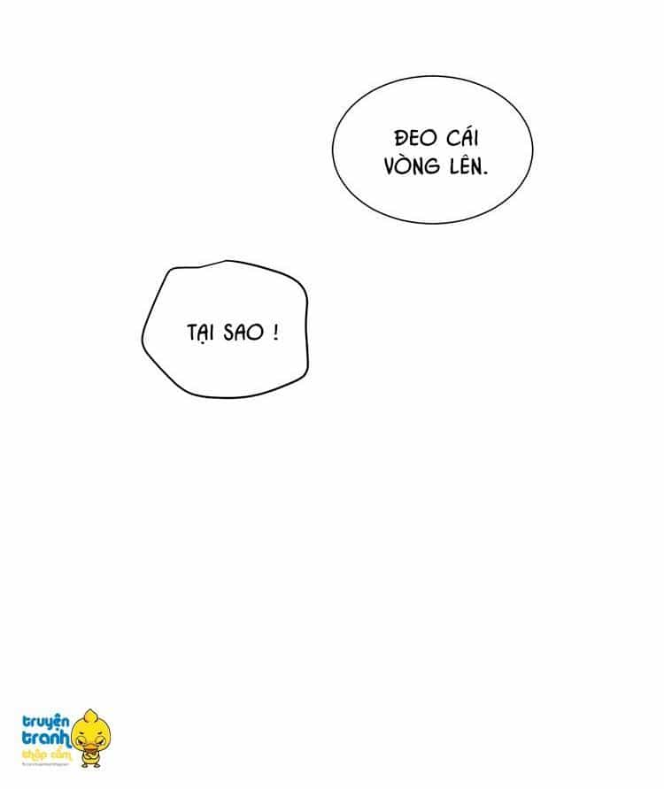 Cứu Mạng! Loài Mèo Thống Trị Thế Giới Rồi! - Chương 11 - ảnh 16
