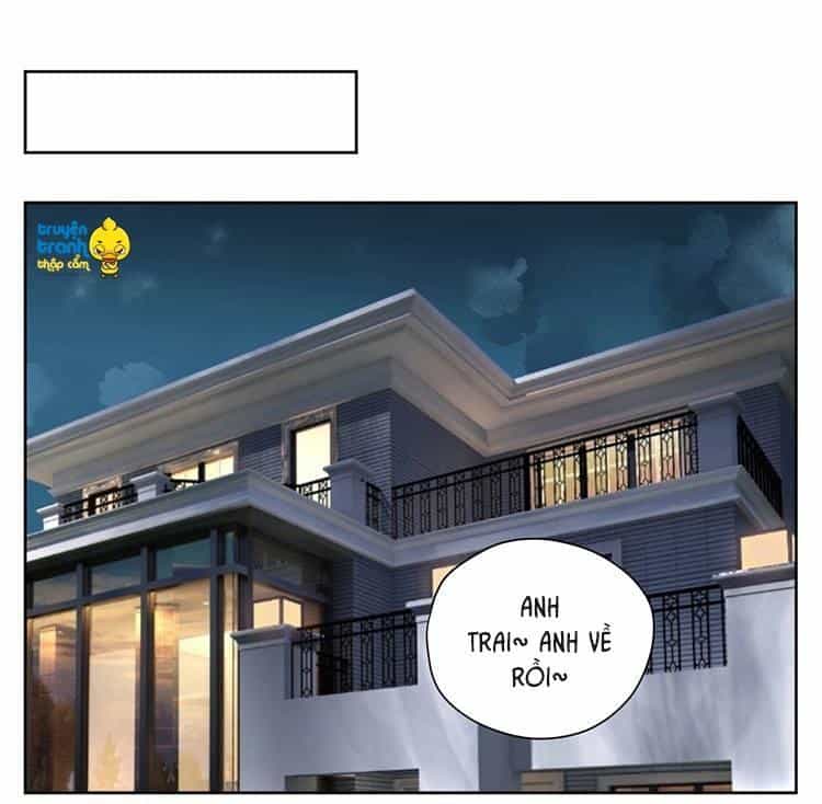 Cứu Mạng! Loài Mèo Thống Trị Thế Giới Rồi! - Chương 15 - ảnh 2