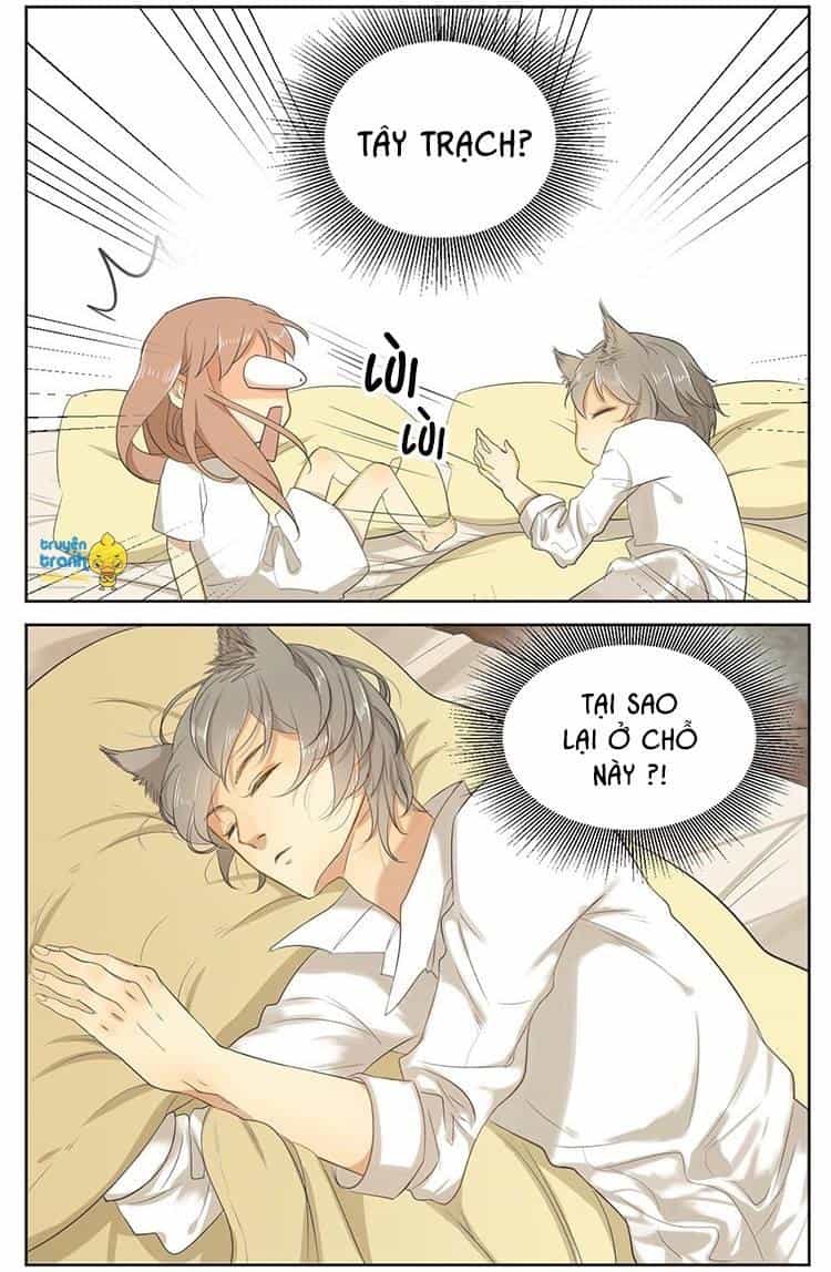 Cứu Mạng! Loài Mèo Thống Trị Thế Giới Rồi! - Chương 16 - ảnh 2
