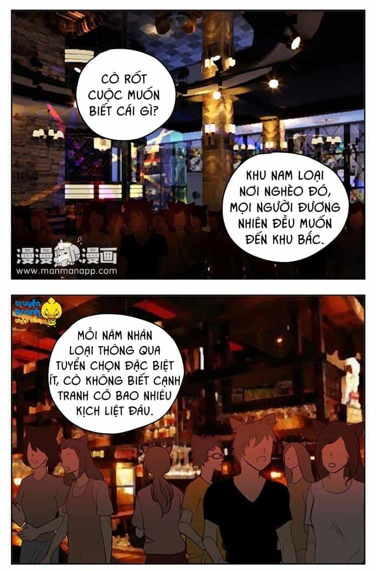 Cứu Mạng! Loài Mèo Thống Trị Thế Giới Rồi! - Chương 18 - ảnh 2