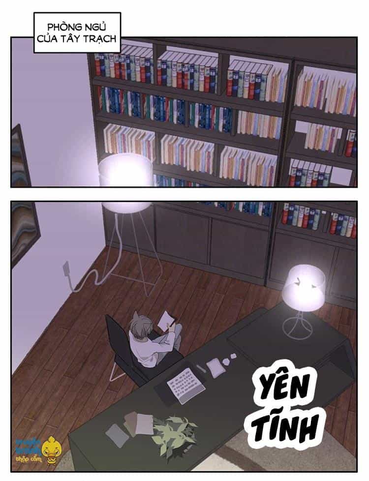 Cứu Mạng! Loài Mèo Thống Trị Thế Giới Rồi! - Chương 18 - ảnh 9