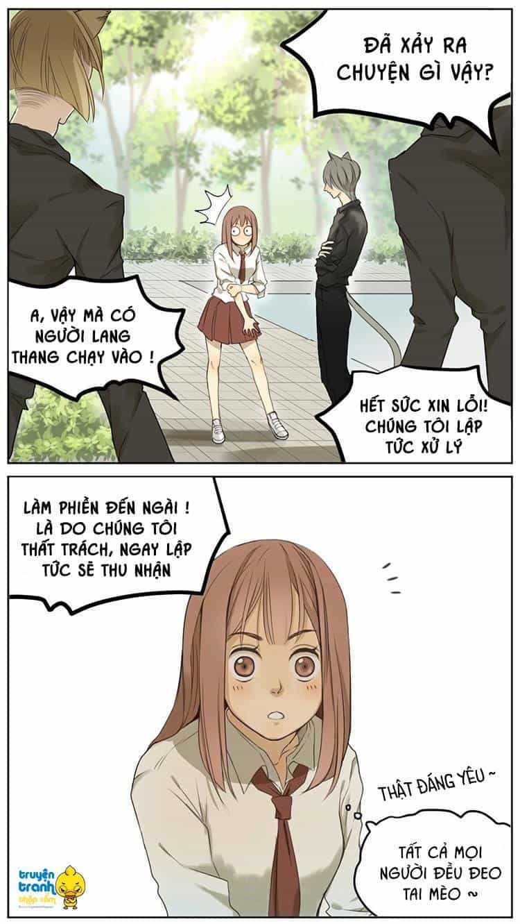 Cứu Mạng! Loài Mèo Thống Trị Thế Giới Rồi! - Chương 2 - ảnh 17