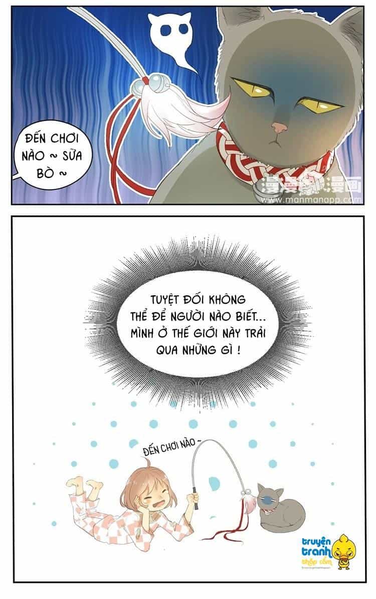 Cứu Mạng! Loài Mèo Thống Trị Thế Giới Rồi! - Chương 24 - ảnh 19