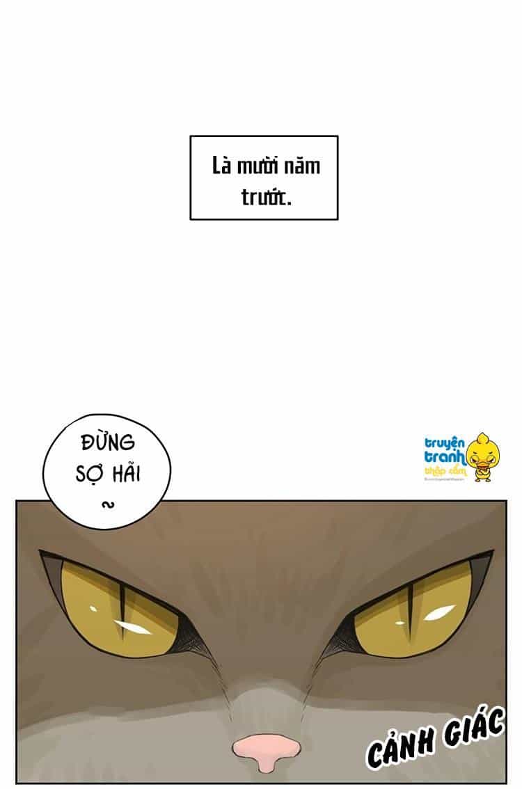 Cứu Mạng! Loài Mèo Thống Trị Thế Giới Rồi! - Chương 24 - ảnh 6