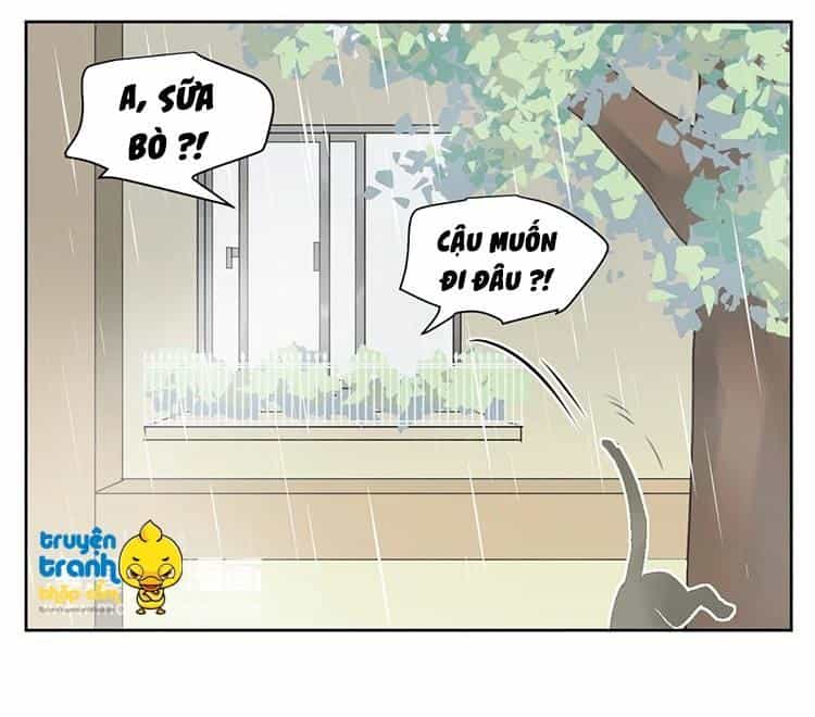 Cứu Mạng! Loài Mèo Thống Trị Thế Giới Rồi! - Chương 25 - ảnh 10
