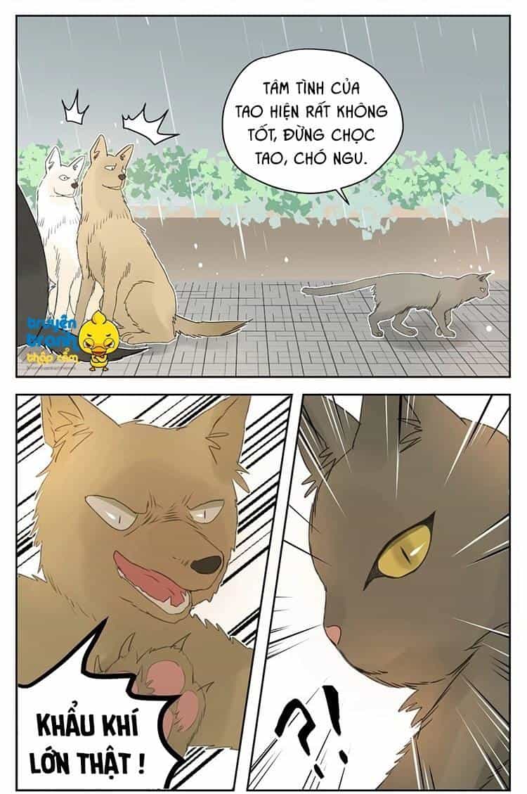Cứu Mạng! Loài Mèo Thống Trị Thế Giới Rồi! - Chương 25 - ảnh 14