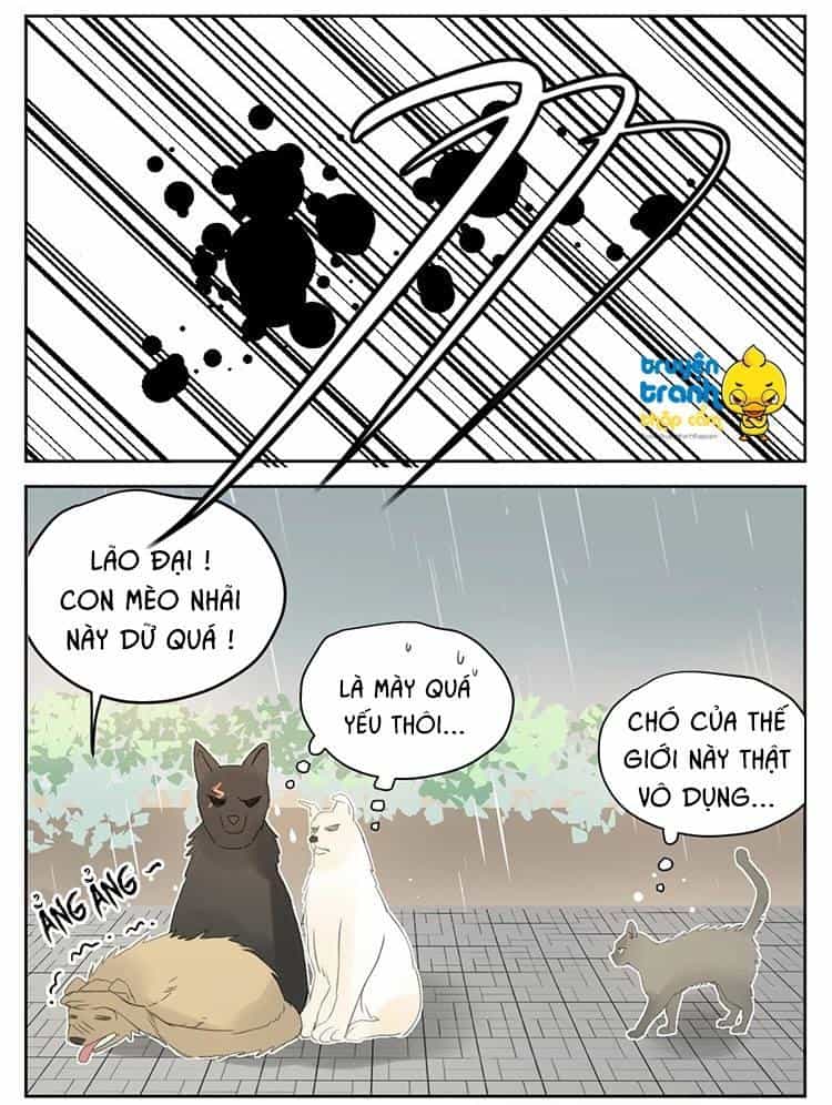 Cứu Mạng! Loài Mèo Thống Trị Thế Giới Rồi! - Chương 25 - ảnh 15