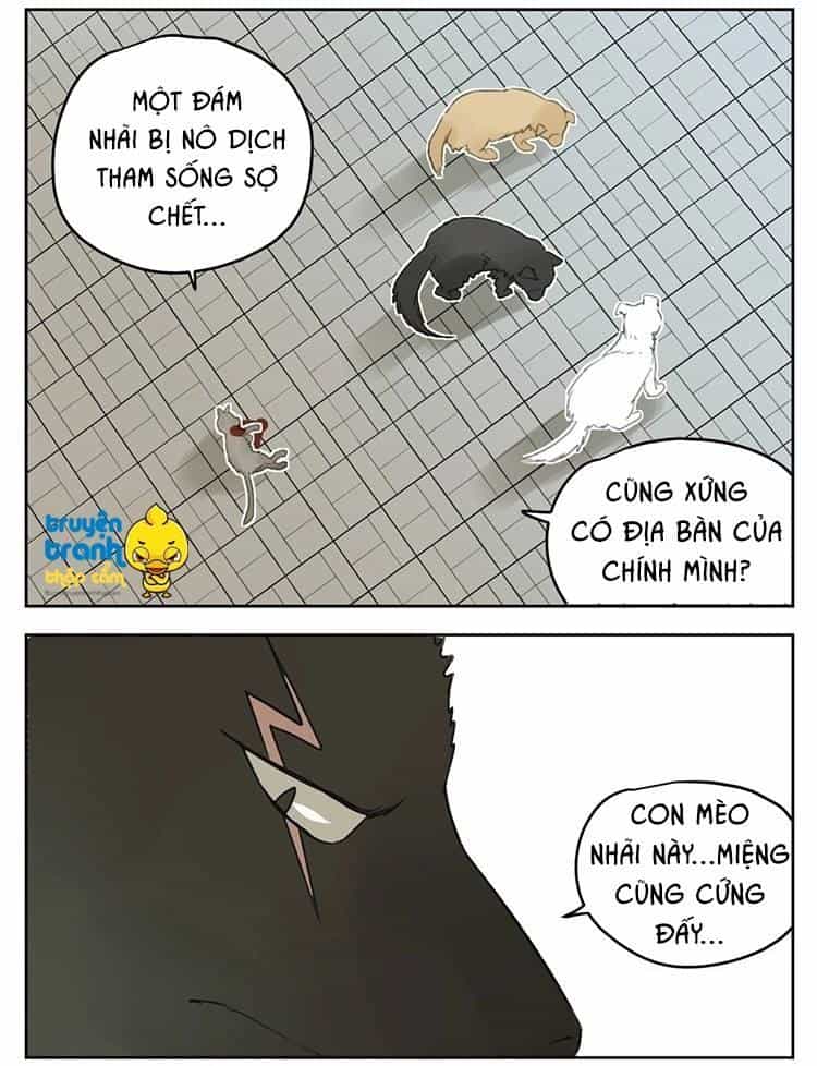 Cứu Mạng! Loài Mèo Thống Trị Thế Giới Rồi! - Chương 25 - ảnh 19