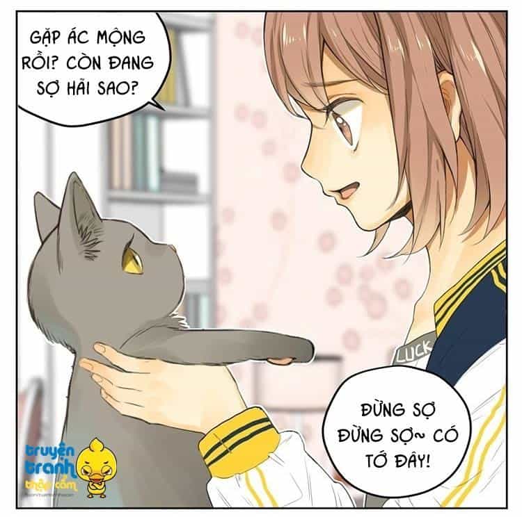 Cứu Mạng! Loài Mèo Thống Trị Thế Giới Rồi! - Chương 25 - ảnh 8