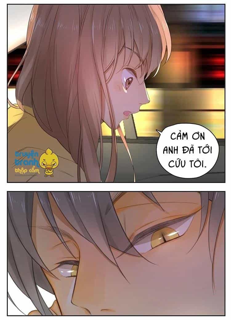Cứu Mạng! Loài Mèo Thống Trị Thế Giới Rồi! - Chương 26 - ảnh 21