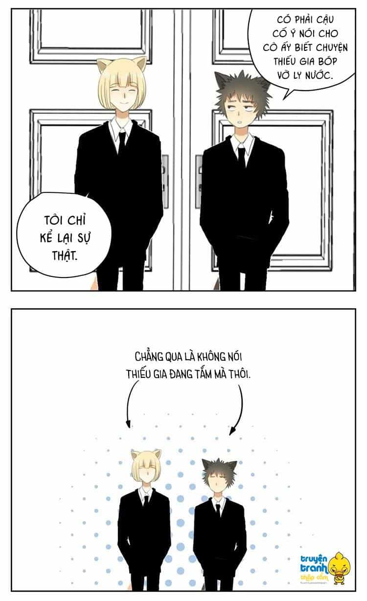 Cứu Mạng! Loài Mèo Thống Trị Thế Giới Rồi! - Chương 30 - ảnh 15