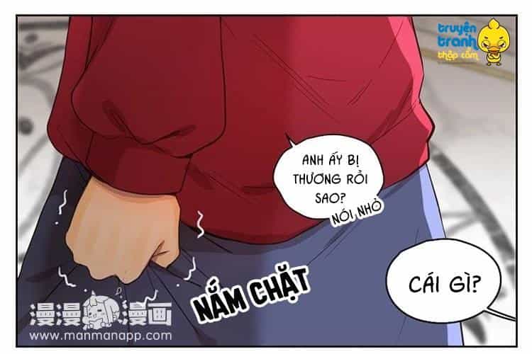 Cứu Mạng! Loài Mèo Thống Trị Thế Giới Rồi! - Chương 30 - ảnh 5