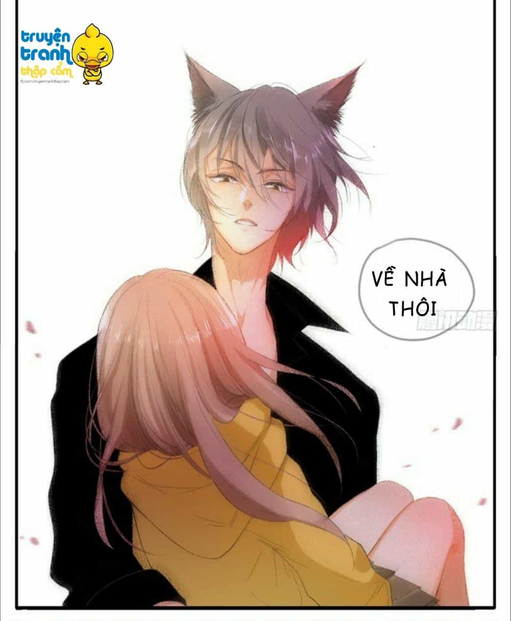 Cứu Mạng! Loài Mèo Thống Trị Thế Giới Rồi! - Chương 35 - ảnh 9