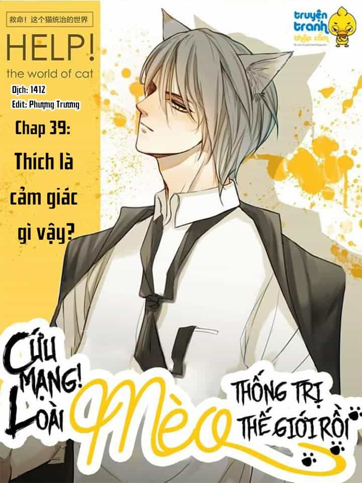 Cứu Mạng! Loài Mèo Thống Trị Thế Giới Rồi! - Chương 39 - ảnh 1