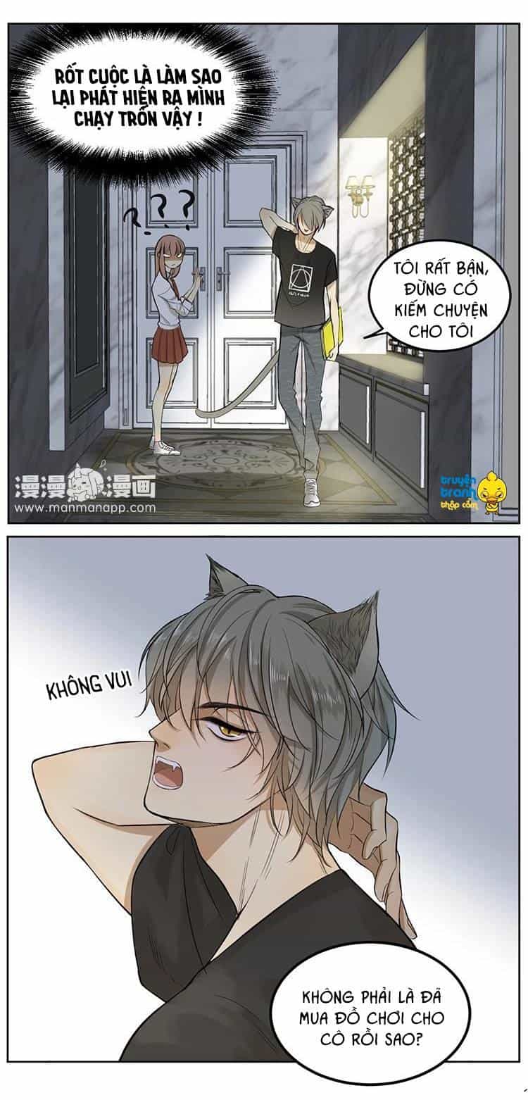 Cứu Mạng! Loài Mèo Thống Trị Thế Giới Rồi! - Chương 5 - ảnh 6