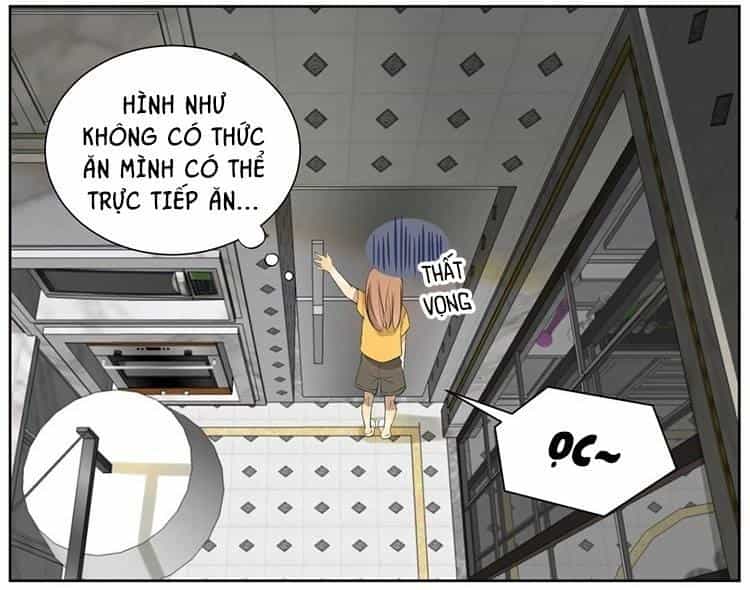 Cứu Mạng! Loài Mèo Thống Trị Thế Giới Rồi! - Chương 9 - ảnh 11