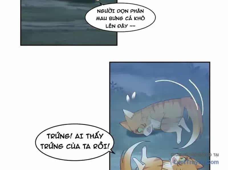 Cựu Nhật Chi Triện - Chương 27 - ảnh 16
