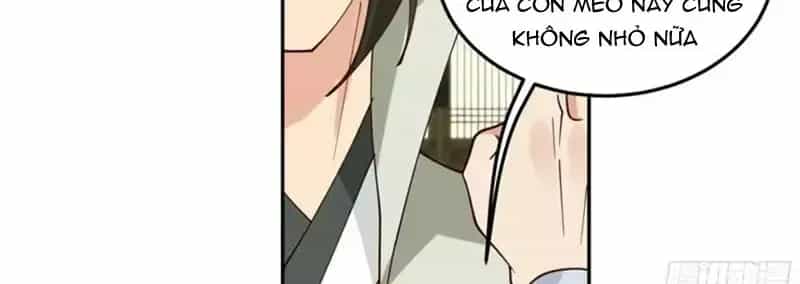 Cựu Nhật Chi Triện - Chương 43 - ảnh 15