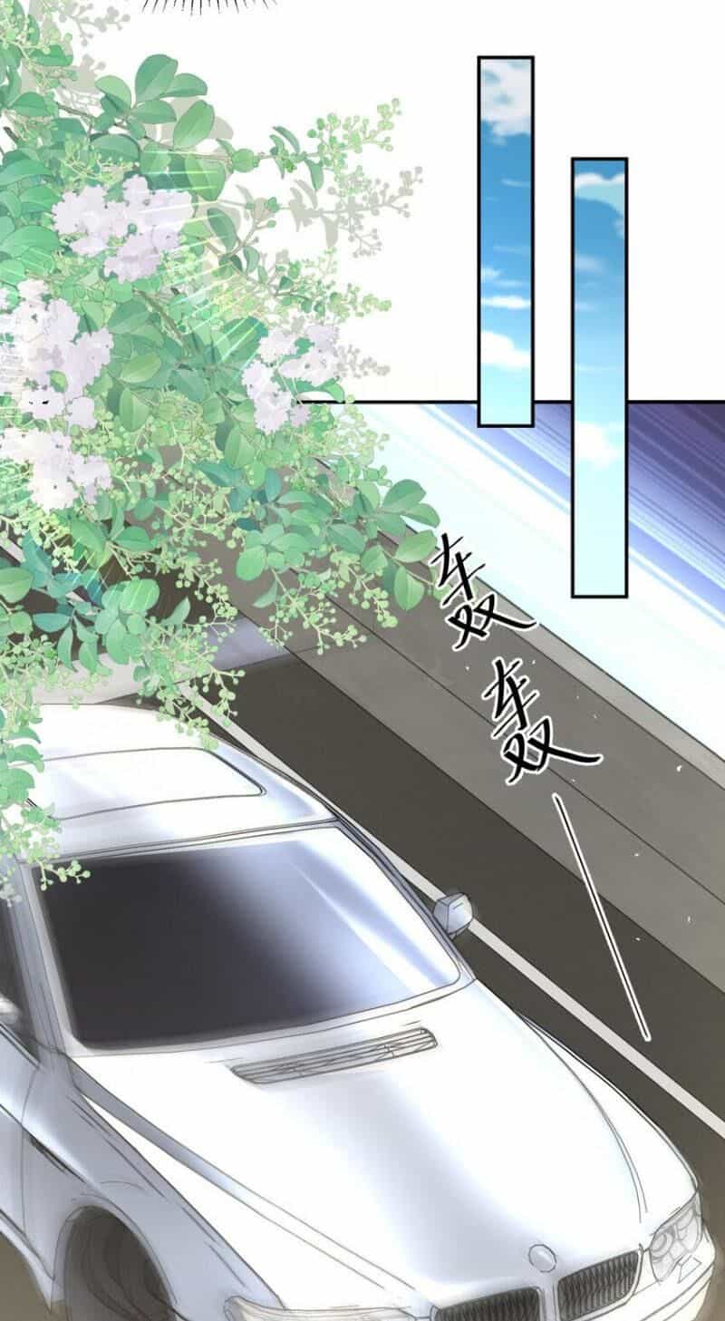 Cựu Nhật Ngự Long - Chương 88 - ảnh 10