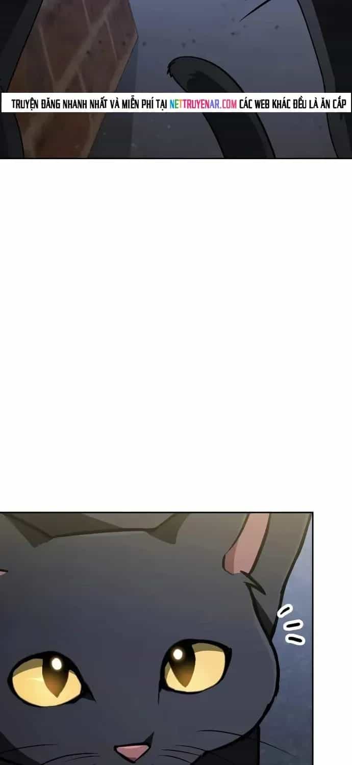 Đa Sắc Ma Pháp Sư Thiên Tài - Chương 73 - ảnh 3
