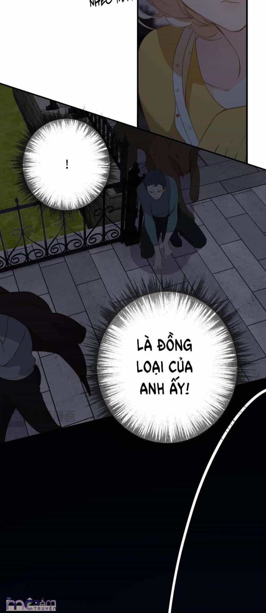 Dã Thú Khi Yêu - Chương 6 - ảnh 11