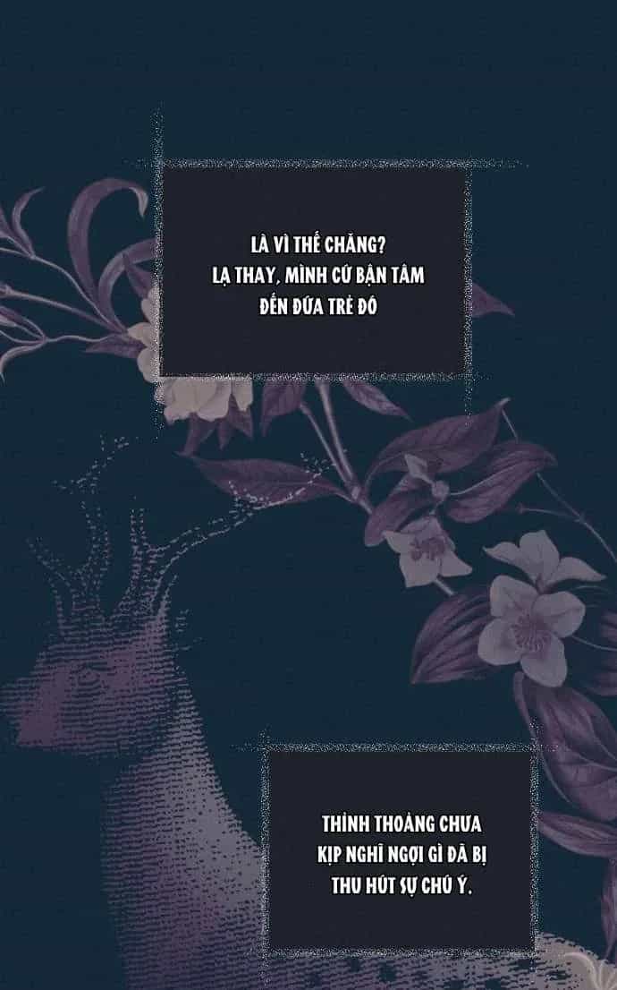 Dabi, Hương Vị Ngây Ngất - Chương 14 - ảnh 103