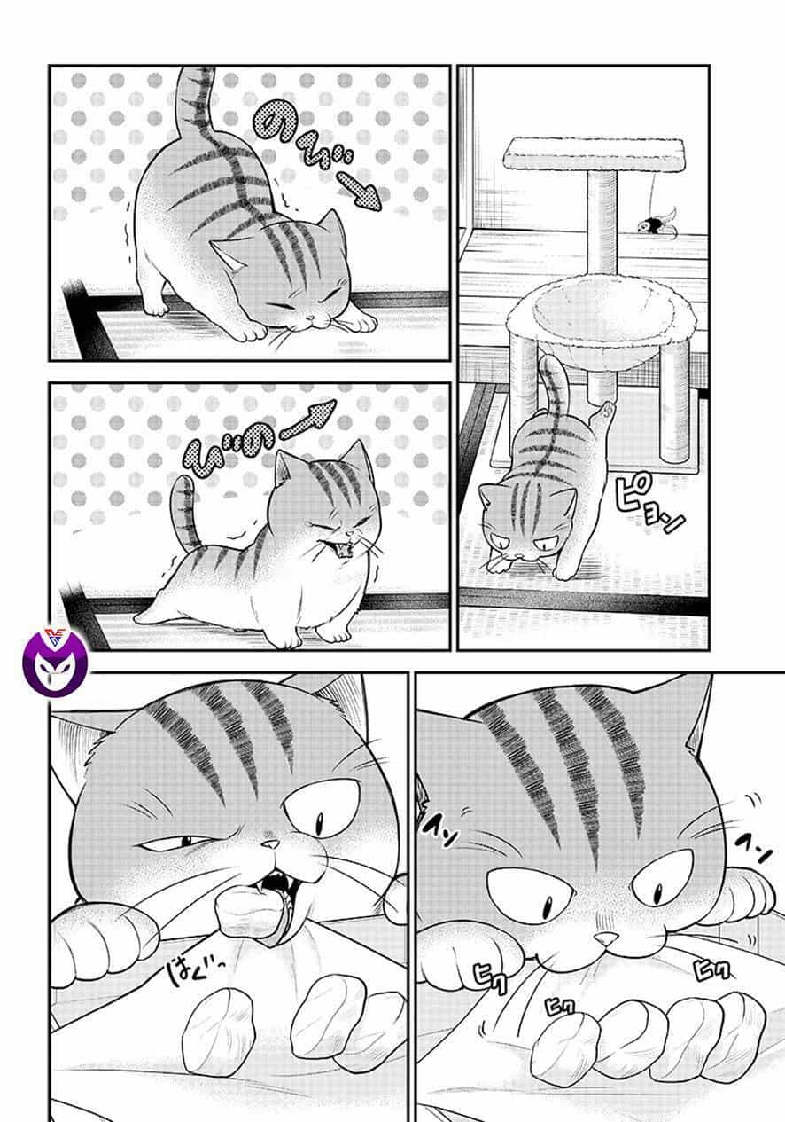 Đại Ca Băng Mèo Mướp - Chương 1 - ảnh 10
