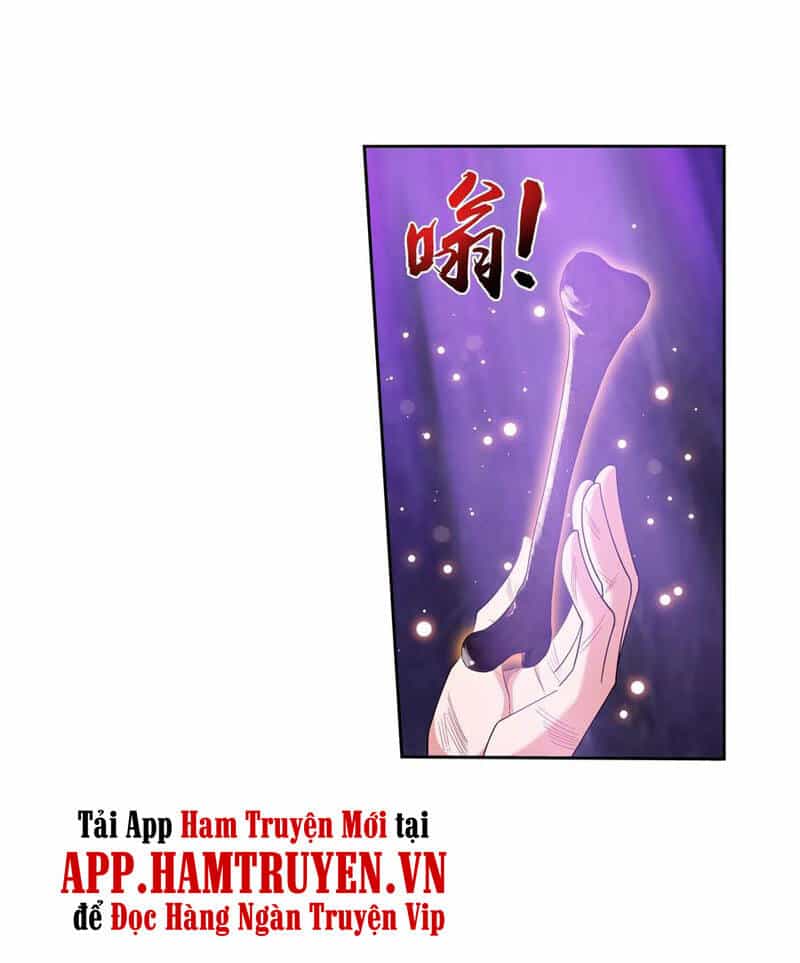 Đại Chúa Tể - Chương 263 - ảnh 20