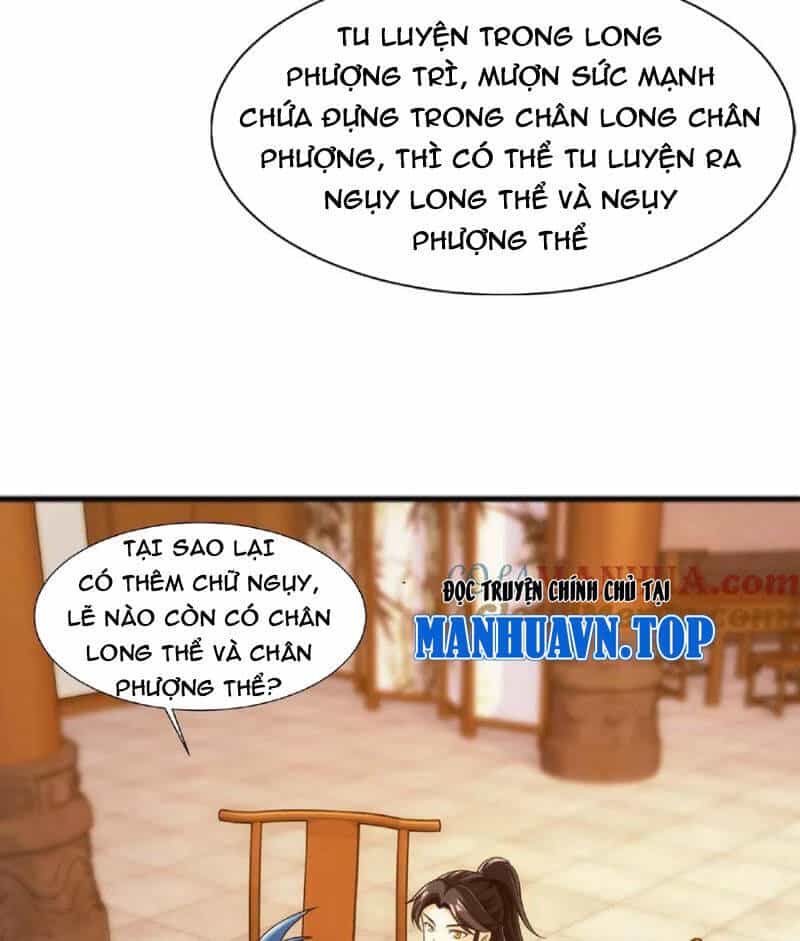 Đại Chúa Tể - Chương 443 - ảnh 20