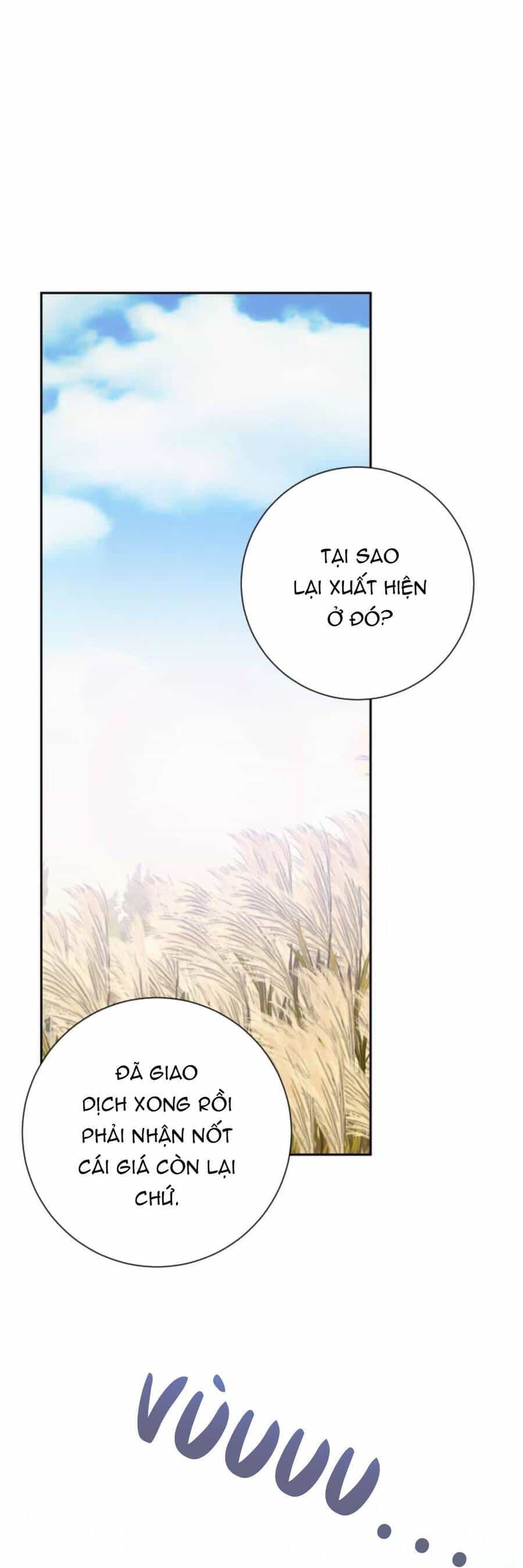 Đại Úy! Chiến Trường Lần Này Là Nơi Này Sao? - Chương 24.1 - ảnh 3
