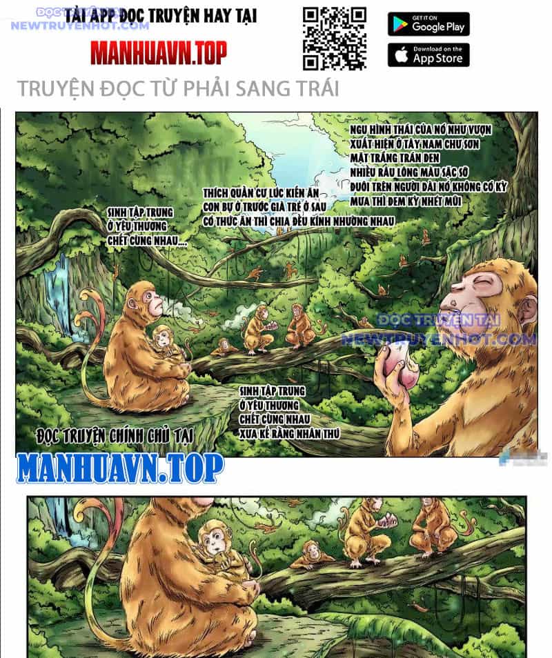 Đan Ngu Huyền Ngôn - Chương 1 - ảnh 3